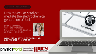 How Molecular Catalysts mediate the Electrochemical Generation of Fuels
